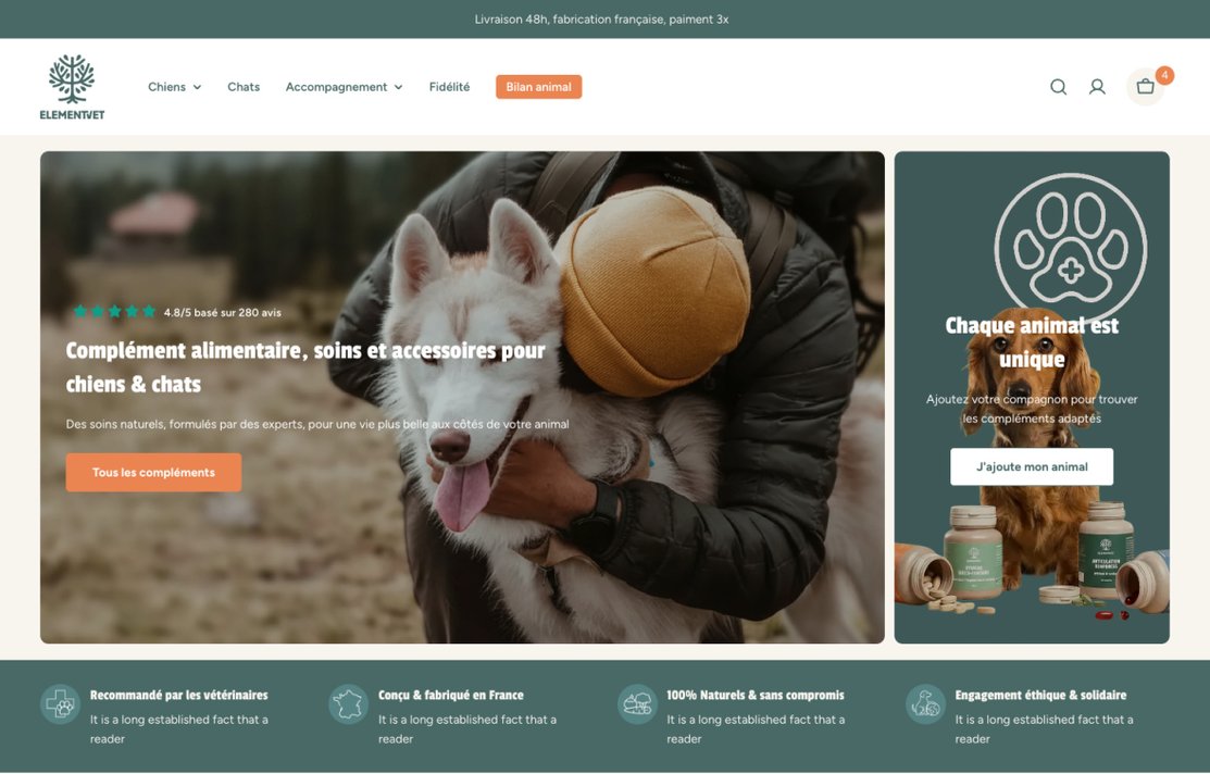 img-home-bindiatelier